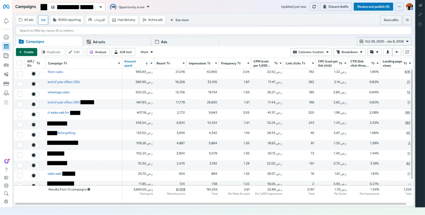 Meta Ads Manager performance screenshot